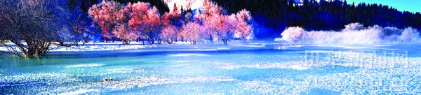 744948_liuyh_1600687306143