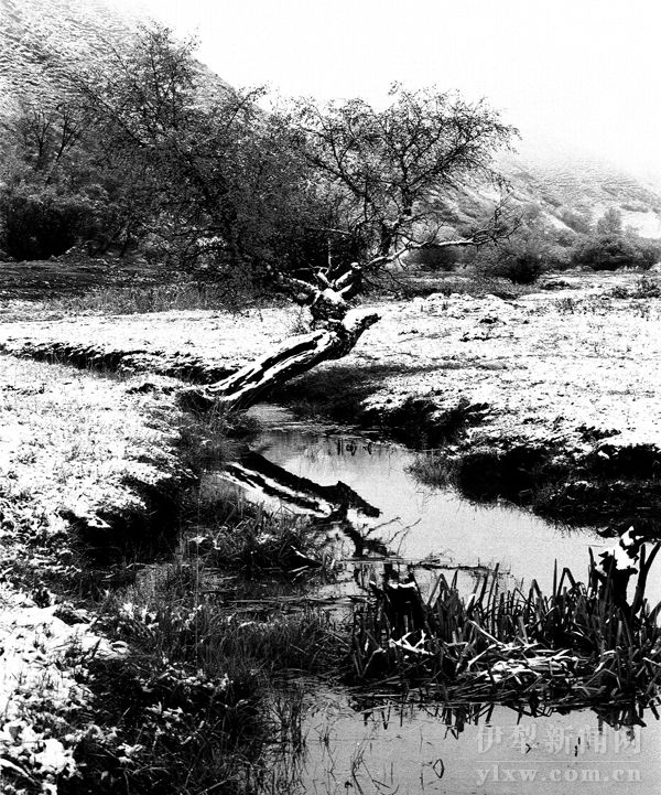 759183_liuyh_1601972801691