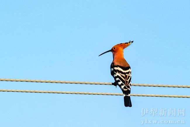 920311_liuyh_1616925304155