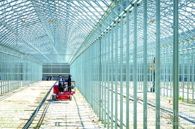 现代农业科技示范园（一期）项目智能温室大棚建设现场    孙艺男摄(1)